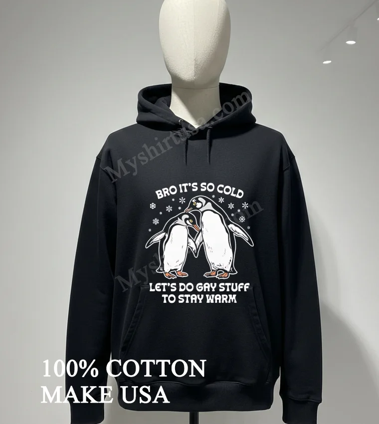 Bro Its So Cold Two Cuddling Penguins Snowflakes Lets Do Gay Stuff Stay Warm Shirt Hoodie Shirt