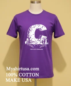 C Failure Is Just A Stepping Stone Shirt