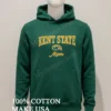 Champion Kent State Golden Flashes 2025 Shirt Hoodie Shirt