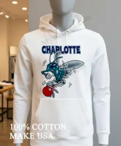 Charlotte Hornets Breakthrough funny america t-shirts