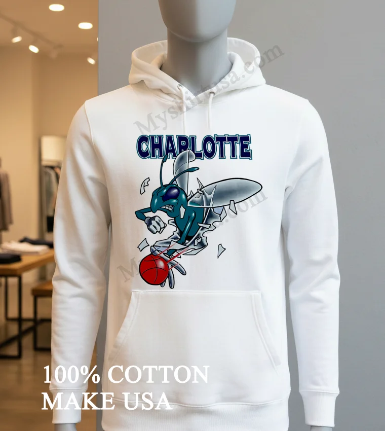 Charlotte Hornets Breakthrough funny america t-shirts - hoodie-shirt Charlotte Hornets Breakthrough Shirt Hoodie Shirt