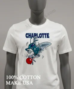 Charlotte Hornets Breakthrough funny america t-shirts