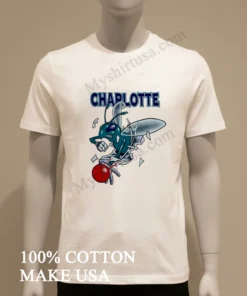Charlotte Hornets Breakthrough funny america t-shirts