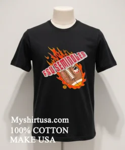 Fsu Seminoles Football Property Of Fsu Flames funny america t-shirts