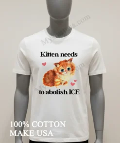 Kitten Needs To Abolish Ice Cute Orange Cat Pink Hearts Shirt