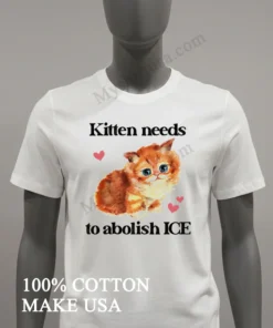 Kitten Needs To Abolish Ice Cute Orange Cat Pink Hearts Shirt