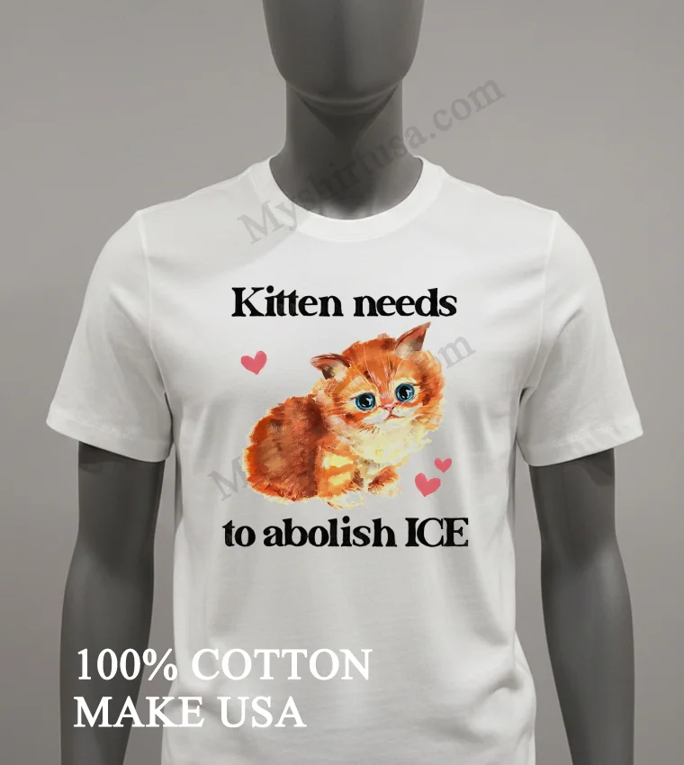 Kitten Needs To Abolish Ice Cute Orange Cat Pink Hearts Shirt White T Shirt 2