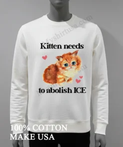 Kitten Needs To Abolish Ice Cute Orange Cat Pink Hearts Shirt