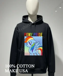 Pony Pride Rainbow Dash Little Pony Rainbow funny america t-shirts